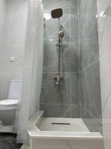 奇姆肯特мини-отель Villa Sofia город Шымкент, проспект Тауке хана, жилой дом 37-2 этаж的带淋浴、卫生间和浴帘的浴室