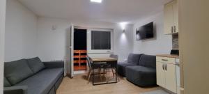 斯洛文尼亚格拉代茨Kope, Jagoda 8 - Studio 2的客厅配有沙发和桌子