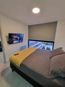 特木科Apartamentos Bauerle Curitiba的一间卧室配有一张大床和一台平面电视