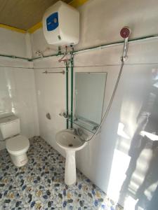 Hong HaHomestay Trúc Sơn的一间带卫生间和水槽的小浴室