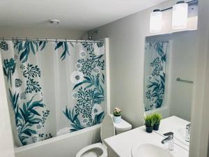 温尼伯1 Bedroom modern basement suite with private entrance的一间带水槽和淋浴帘的浴室