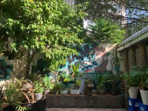 万荣Vang Vieng Lily Backpackers Hostel的墙上有一堆盆栽植物