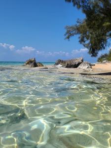 拿骚Beach Villas的海滩上一片岩石水体