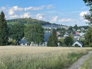 Geyerhaustierfreundliche Ferienwohnung Greifenbach的一片草场,以城市为背景