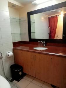 长滩岛Apo 201-Alta Vista De Boracay的一间带水槽和镜子的浴室