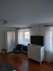 迪耶河畔弗拉诺夫Apartman Modry dum的客厅配有带梳妆台和椅子的电视