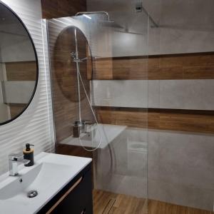 托伦Komfortowy apartament的带淋浴、盥洗盆和镜子的浴室