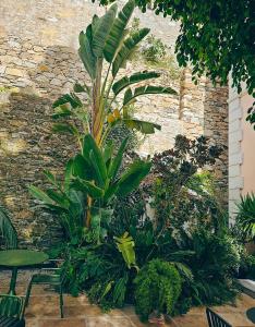 埃尔莫波利斯Aristide Hotel - Small Luxury Hotels of the World的砖墙前的一堆植物