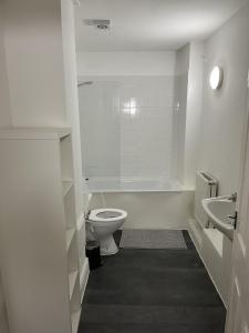 格洛斯特The Cozy Apartment的白色的浴室设有卫生间和水槽。