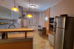 道尼库宾Family apartment的厨房配有不锈钢冰箱和桌子