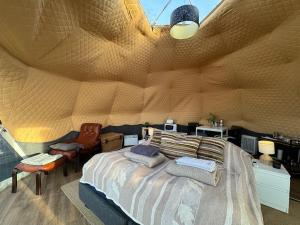 霍尔斯沃德吕尔Aurora Dome on the South Coast的一间卧室设有一张带木墙的大床