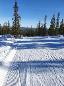 萨伦Fantastiskt 6 bädds lägenhet i Sälen的一个人在雪覆盖的斜坡上滑雪