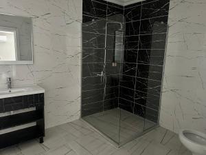 伊斯坦布尔Cevvo Hotel的浴室设有黑色瓷砖和淋浴。