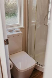 波特兰Studio Pod 2的一间带卫生间和淋浴的浴室以及窗户。