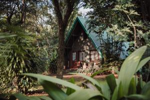 伊瓜苏港Overo Lodge & Selva的绿色屋顶的树林小屋