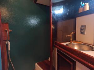 路易港Voilier-péniche guinguette的一间带水槽和镜子的浴室