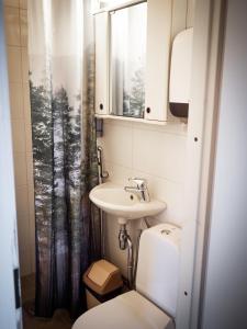 波尔沃Poukama的一间带水槽、卫生间和淋浴的浴室
