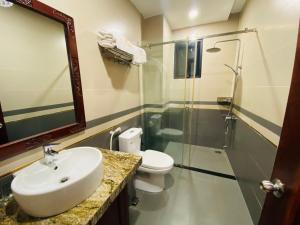 绥和市Jen Hotel的一间带水槽、卫生间和淋浴的浴室