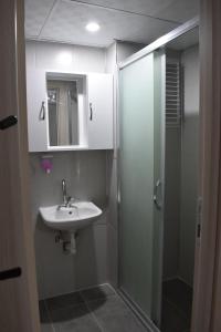 埃迪尔内edr ulus 22otel的浴室配有盥洗盆和带镜子的淋浴