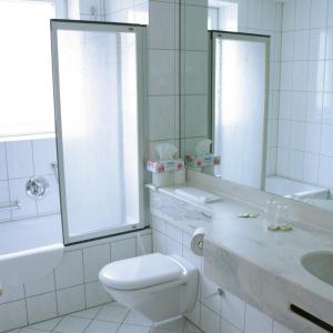 巴特贝格匝本库尔帕克布里克酒店的一间带卫生间、水槽和镜子的浴室