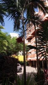 萨尔瓦多APARTAMENTO ITAIGARA的棕榈树建筑前的停车场