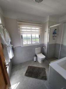 圣胡安海滩Casa Mariposa Guesthouse的一间带卫生间和淋浴的浴室以及窗户。