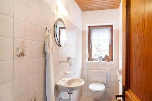布雷根茨沃尔德地区奥Haus Bergfrieden的白色的浴室设有卫生间和水槽。