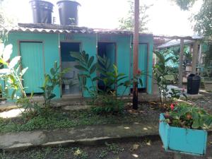 卡普兰干Cabañas Los Almendros的前面有植物的蓝色房子