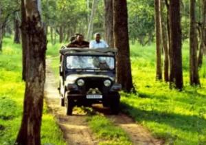 瓦亚纳德Aiswarya - The Jungle Home的一群乘坐吉普车的人沿着土路行驶