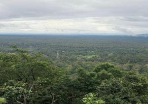 瓦亚纳德Aiswarya - The Jungle Home的从树木茂密的山顶上欣赏美景