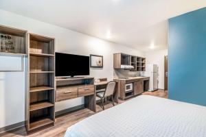 奥兰多Extended Stay America Select Suites - Orlando - Kissimmee的一间卧室配有一张床和一张书桌及电视