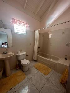 圣玛丽'One Love' Family Getaway w/pool 10mins Duns River的浴室配有卫生间、盥洗盆和浴缸。