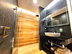 莱切Trilogy Prestige - Central Premium Suites的一间带水槽和淋浴的浴室