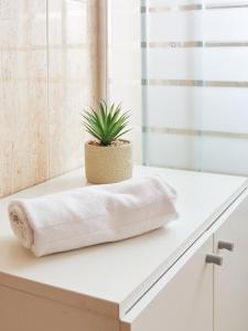 波多黎多德萨贡托EL RINCÓN VERDE的浴室柜台上的植物,带毛巾