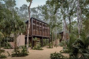 巴卡拉尔Boca de Agua Bacalar的树林中树木的房屋