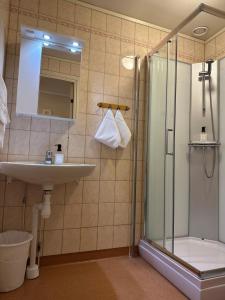 FryksåsFryksås Hotell & Gestgifveri的带淋浴、盥洗盆和卫生间的浴室