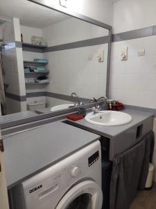 圣马丁岛Pelican的一间带洗衣机和水槽的浴室