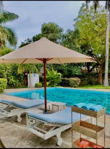 马林迪WHITE Nyumba的游泳池旁的太阳伞和椅子