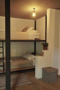 蒙泰韦尔德哥斯达黎加OutBox Inn的一间卧室配有两张双层床。