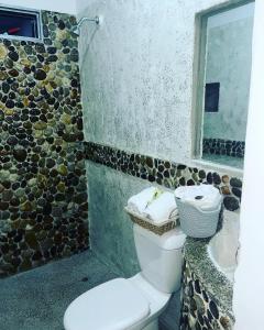 San FranciscoEbenezer Ecocamp的一间带卫生间和石墙的浴室