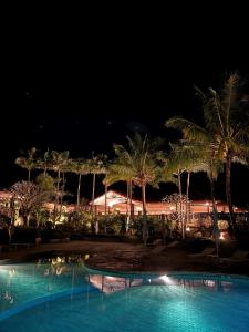 PaïtaRivland Resort的夜间棕榈树游泳池