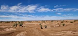 MhamidBivouac Beauté de Désert的远处有泥土路和树木的沙漠