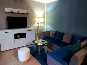 扎耶查尔Quattro apartment的客厅配有蓝色的沙发和电视