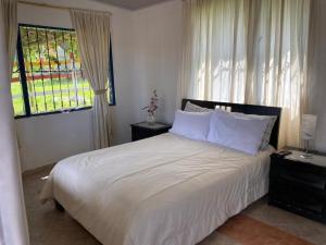 莫尼基拉DinoAgro Potrero Grande的一间卧室配有一张带白色床单的床和一扇窗户。