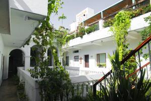 圣玛尔塔Masaya Santa Marta的白色建筑的庭院,植物