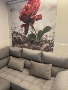 哈萨جناح فاخر的一张沙发上墙上的红花画