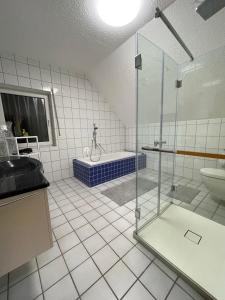 乌尔班Rheinview Sunset in Urbar的带淋浴、浴缸和盥洗盆的浴室