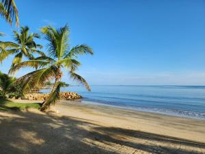 科韦尼亚斯Condominio Milagros Coveñas的两棵棕榈树和大海的海滩