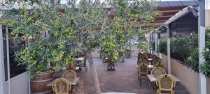 滨海福斯Hotel Restaurant Calypso, à 10 m de la plage的一座带桌椅和树木的空庭院
