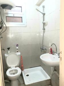 明亚Furnished apartment in Minya的一间带卫生间和水槽的浴室